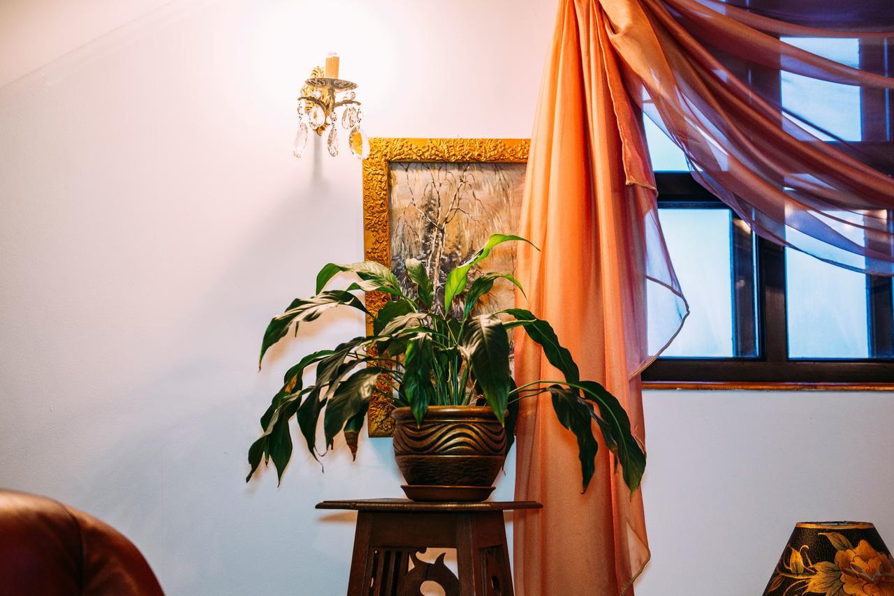 Antique House Hotel 杜布诺 外观 照片